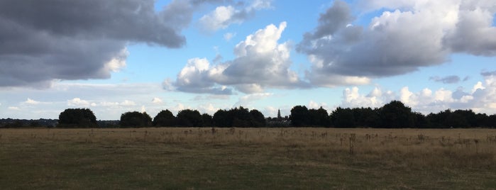 Hilly Fields is one of Lieux qui ont plu à James.