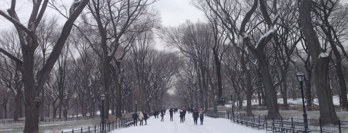 Central Park is one of Alexey 님이 좋아한 장소.