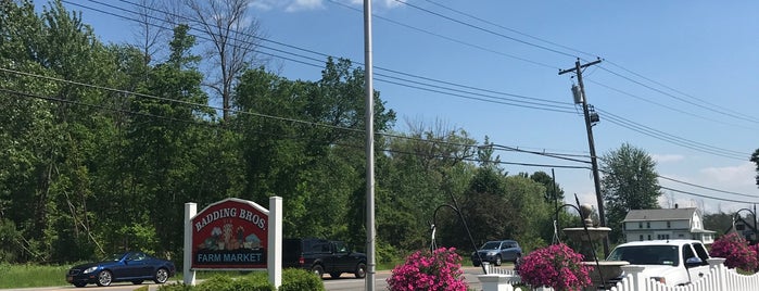 Badding Brother's Farm Market is one of local favs.