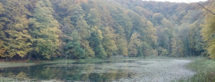 Park prirode Papuk is one of Hrvatska.