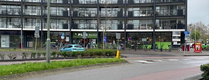 Guide to Dordrecht's best spots