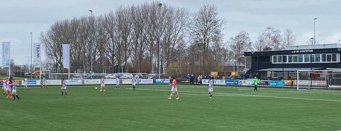 VV Alblasserdam is one of Voetbalclubs.