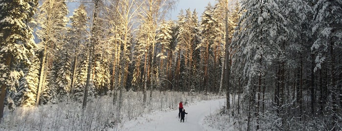 Pirttimäen hiihtolatu is one of Top 10 favorite places.