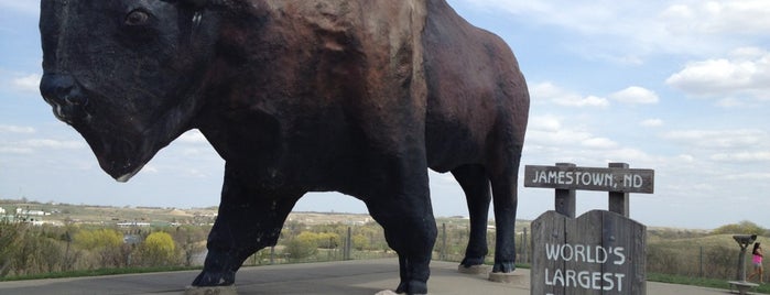 World's Largest Buffalo is one of World's Largest ____ in the US.