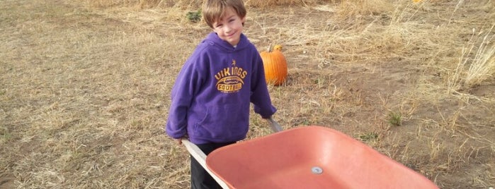 Sleepy Hollow Pumpkin Farm is one of Fall Bucket List.