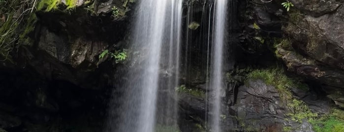 Grotto Falls is one of Appalachia.