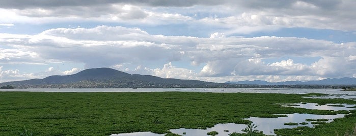 Laguna de Zumpango is one of Best places in Zumpango de Ocampo, Mexico.