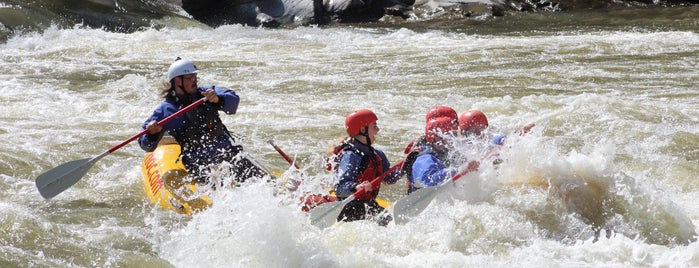 French Broad River Expeditions is one of North Carolina.