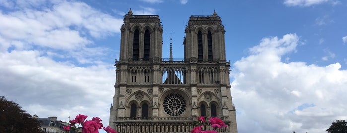 Cathédrale Notre-Dame de Paris is one of Lieux qui ont plu à SmS.