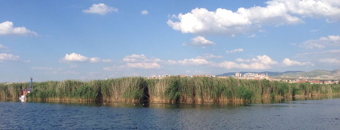 Beykoz is one of SmSさんのお気に入りスポット.