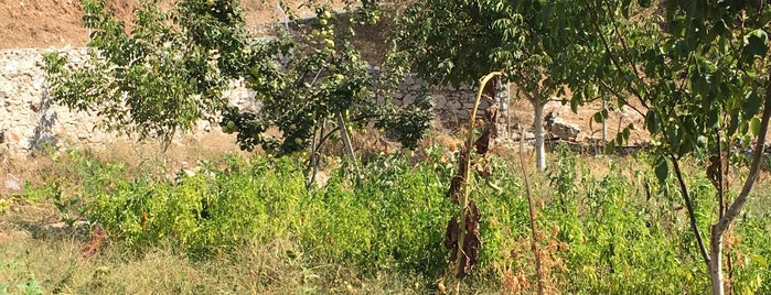 Derinkuyu Köyü is one of Tansu'nun Beğendiği Mekanlar.