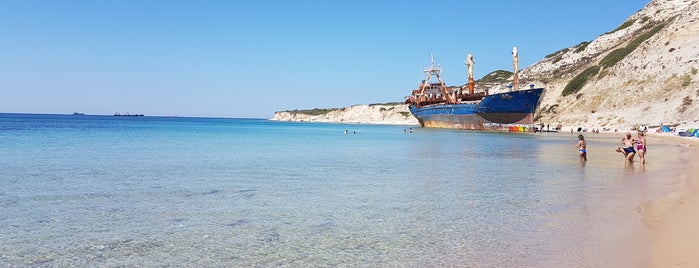 Beylik Koyu (Plaji) is one of Lieux qui ont plu à Aslı.