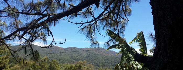 Bosques de Mazamitla is one of Lieux qui ont plu à Claudia.