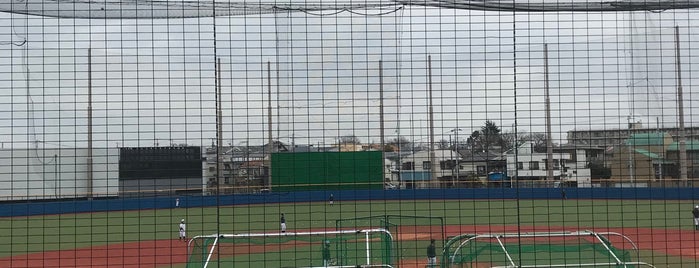 駒沢大学 野球グラウンド is one of baseball stadiums.