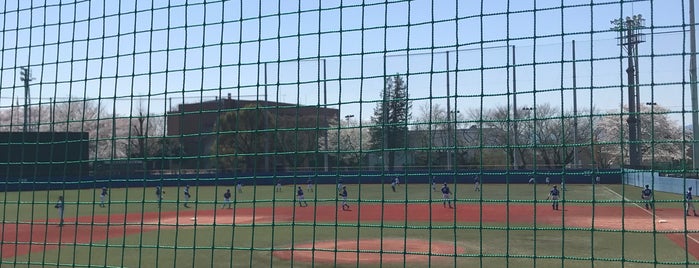 東京経済大学武蔵村山キャンパス 野球場 is one of baseball stadiums.