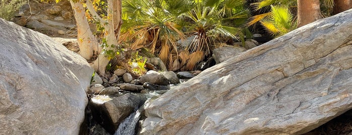 Andreas Canyon is one of Palm Springs Exploring.