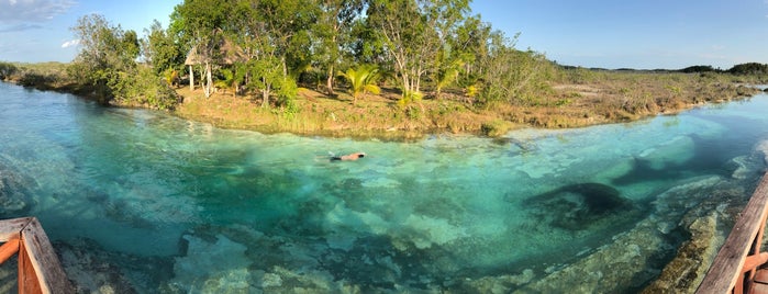 Los Rápidos de Bacalar is one of julioさんのお気に入りスポット.