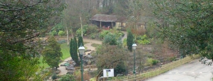 Avenham Park is one of Gaynor's Saved Places.