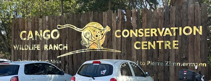 Cango Wildlife Ranch is one of Cape Town 🇿🇦.