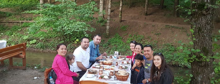 Mengen cennet vadi restaurant is one of Tempat yang Disukai Orhan.