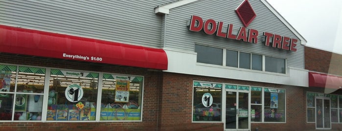 Dollar Tree is one of Megan’s Liked Places.