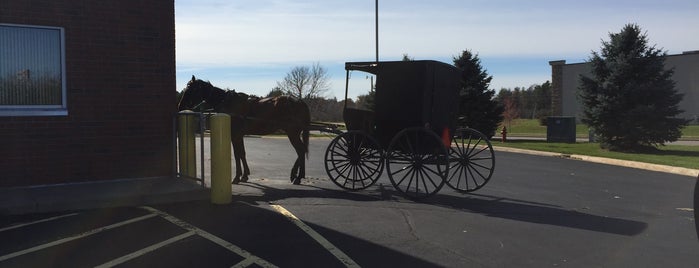 ALDI is one of All-time favorites in United States.