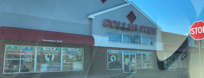 Dollar Tree is one of The 7 Best Thrift Stores and Vintage Shops in Madison.