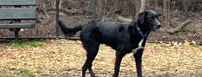 Van Cortlandt Park Dog Run is one of My Good Dog NYC: NYC Dog Runs.