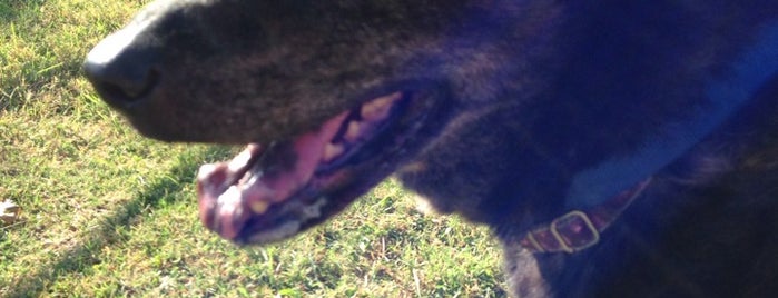Milwood Dog Run is one of Austin Dog's Best Friend Badge.