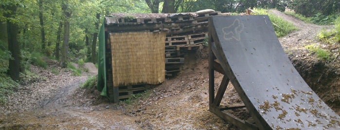 Bikepark Točná is one of Veronikaさんのお気に入りスポット.