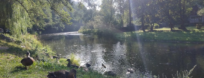 Vodácké tábořiště Loket is one of สถานที่ที่ Typena ถูกใจ.