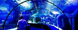 Antalya Aquarium is one of Турция: Развлечения для детей.
