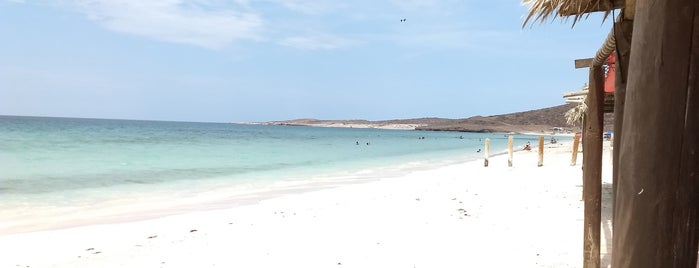 Playa El Tecolote is one of Lugares favoritos de Oscar.
