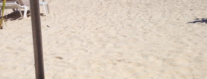 Playa Delfines (El Mirador) is one of Lugares favoritos de Sandy.
