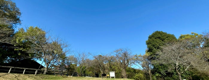野山北・六道山公園 is one of 公園.