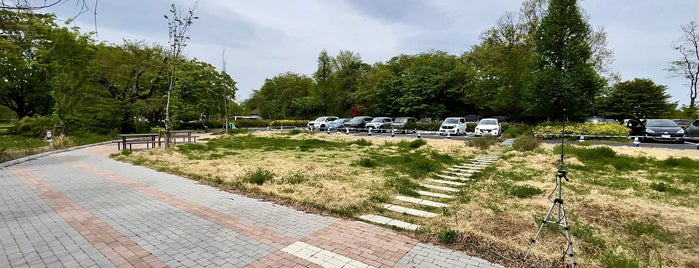 狭山公園 is one of 公園_東京都.