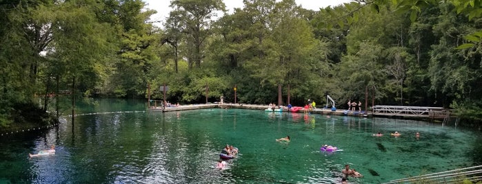 Fanning Springs State Park is one of Lugares guardados de Kimmie.