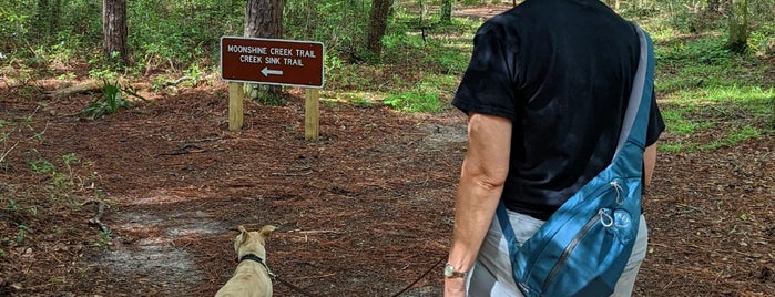 San Felasco Hammock Preserve State Park is one of Kimmie'nin Kaydettiği Mekanlar.