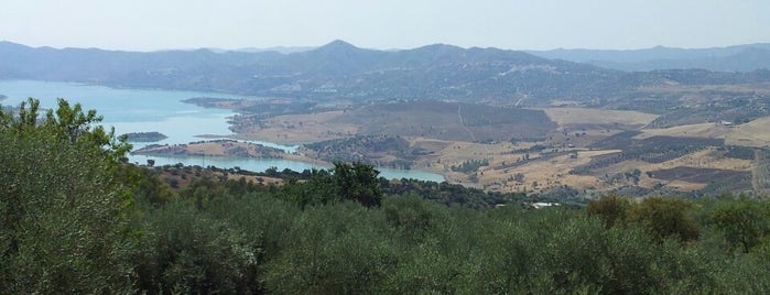 La Viñuela is one of Los 101 municipios de la provincia de Málaga.