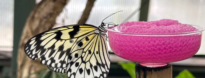 Magic Wings Butterfly Conservatory is one of UMASS.