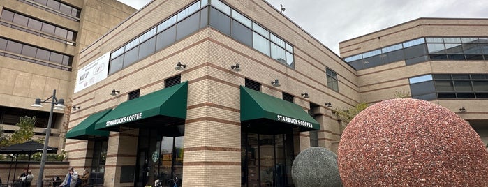Starbucks is one of Korean Arabist in D.C..