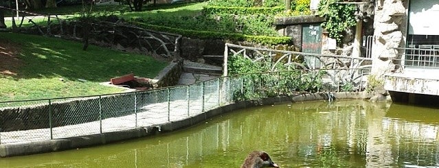 Jardim Arca d'Água is one of Porto.