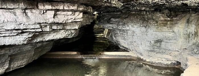 Cave Spring is one of Southern Tennessee.