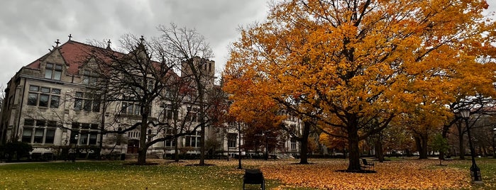 University of Chicago Quad is one of Diego’s Liked Places.