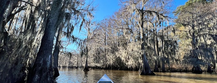 Caddo Lake State Park is one of #visitUS in Marshall, TX.