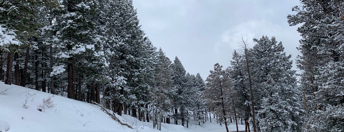 Genesee Park is one of Colorado.