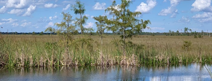Big Cypress National Preserve 839 Loop is one of So You Are In Sarasota.