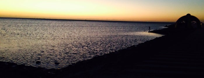 Alrayes Beach is one of Ahmed’s Liked Places.