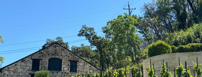 Buena Vista Carneros Winery is one of SF/Sonoma.