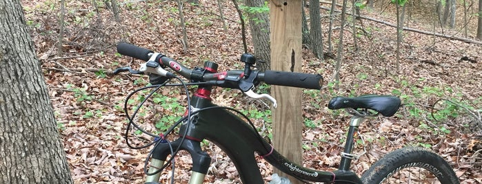 Chicopee Mountain Bike Trails is one of Lugares favoritos de Super.